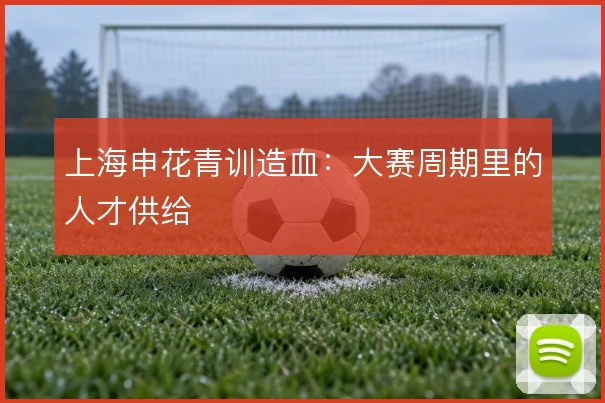 上海申花青训造血:大赛周期里的人才供给
