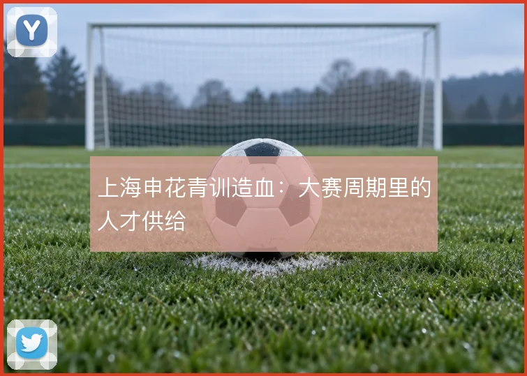 上海申花青训造血:大赛周期里的人才供给